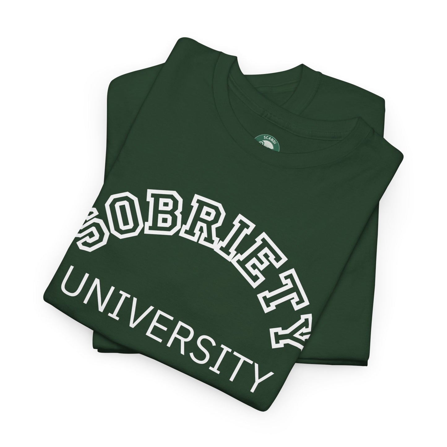 Sobriety University Tee, Sobriety T-shirt, Sobriety Shirt, Gift for Therapist, Funny Gift for Therapist, Mental Health shirt, Mental Health T-shirt, Therapist Gift