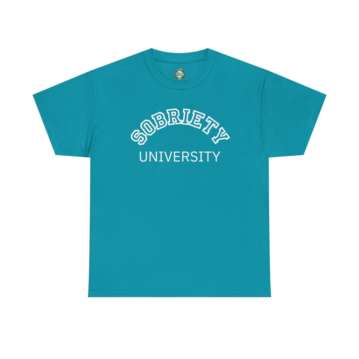 Sobriety University Tee, Sobriety T-shirt, Sobriety Shirt, Gift for Therapist, Funny Gift for Therapist, Mental Health shirt, Mental Health T-shirt, Therapist Gift