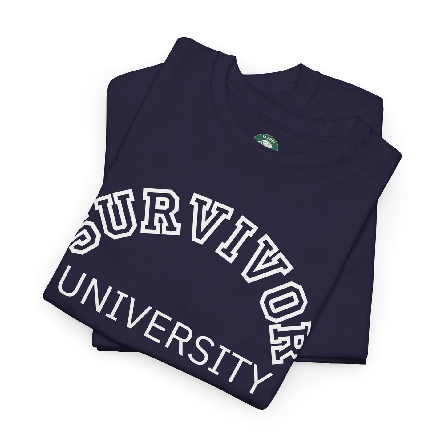 Survivor University Tee, Survivor T-shirt, Survivor Shirt, Gift for Therapist, Funny Gift for Therapist, Mental Health shirt, Mental Health T-shirt, Therapist Gift