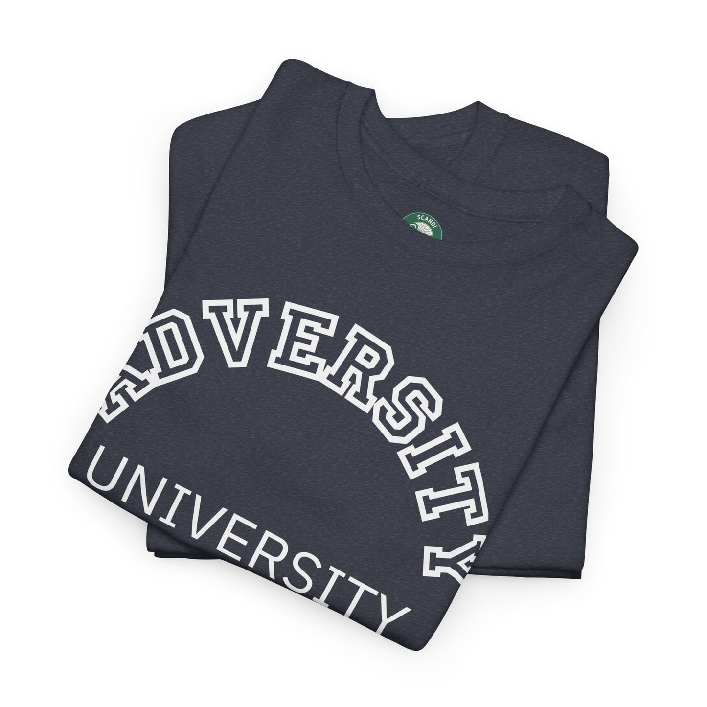 Adversity University Tee, Adversity T-shirt, Adversity Shirt, Gift for Therapist, Funny Gift for Therapist, Mental Health shirt, Mental Health T-shirt, Therapist Gift