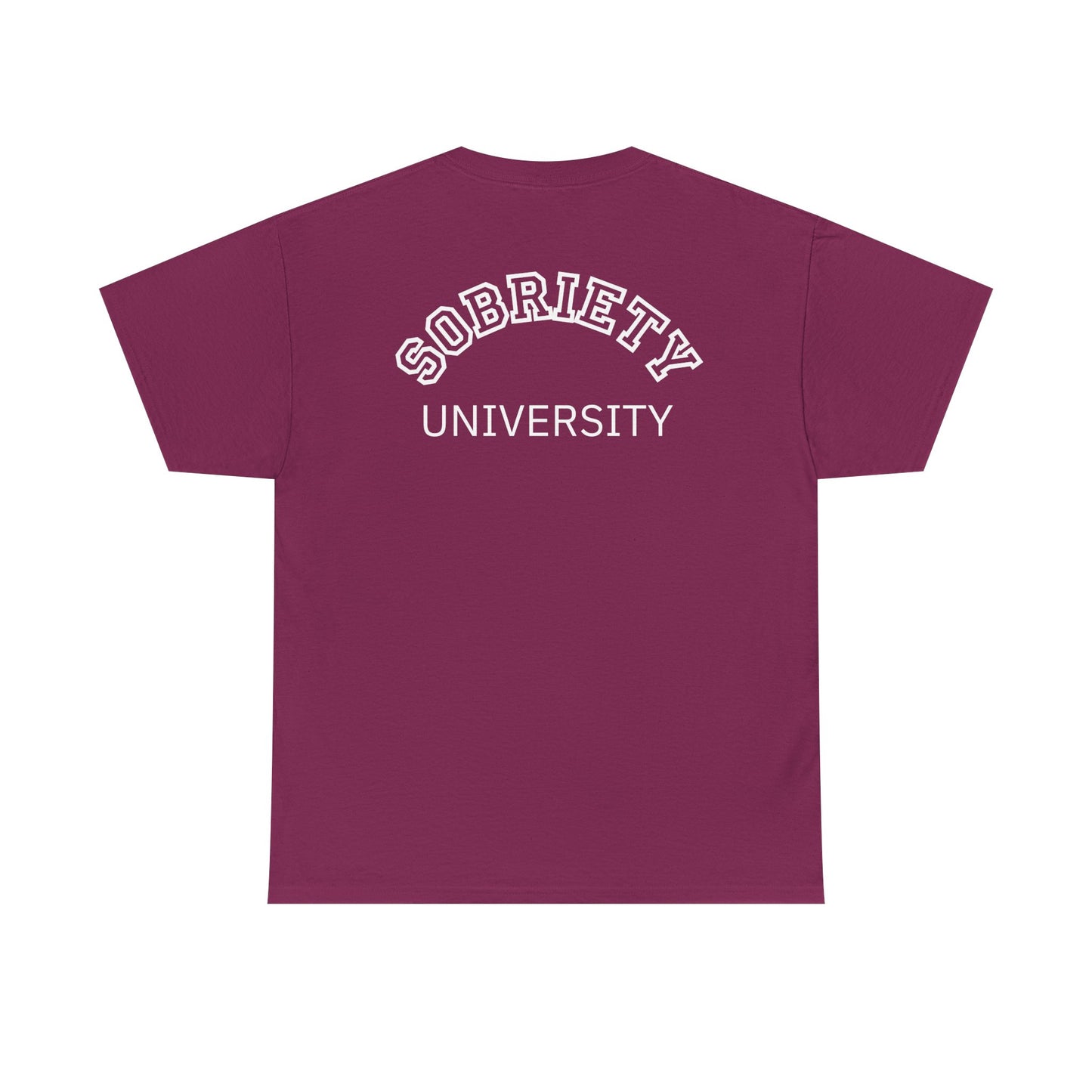 Sobriety University Tee, Sobriety T-shirt, Sobriety Shirt, Gift for Therapist, Funny Gift for Therapist, Mental Health shirt, Mental Health T-shirt, Therapist Gift