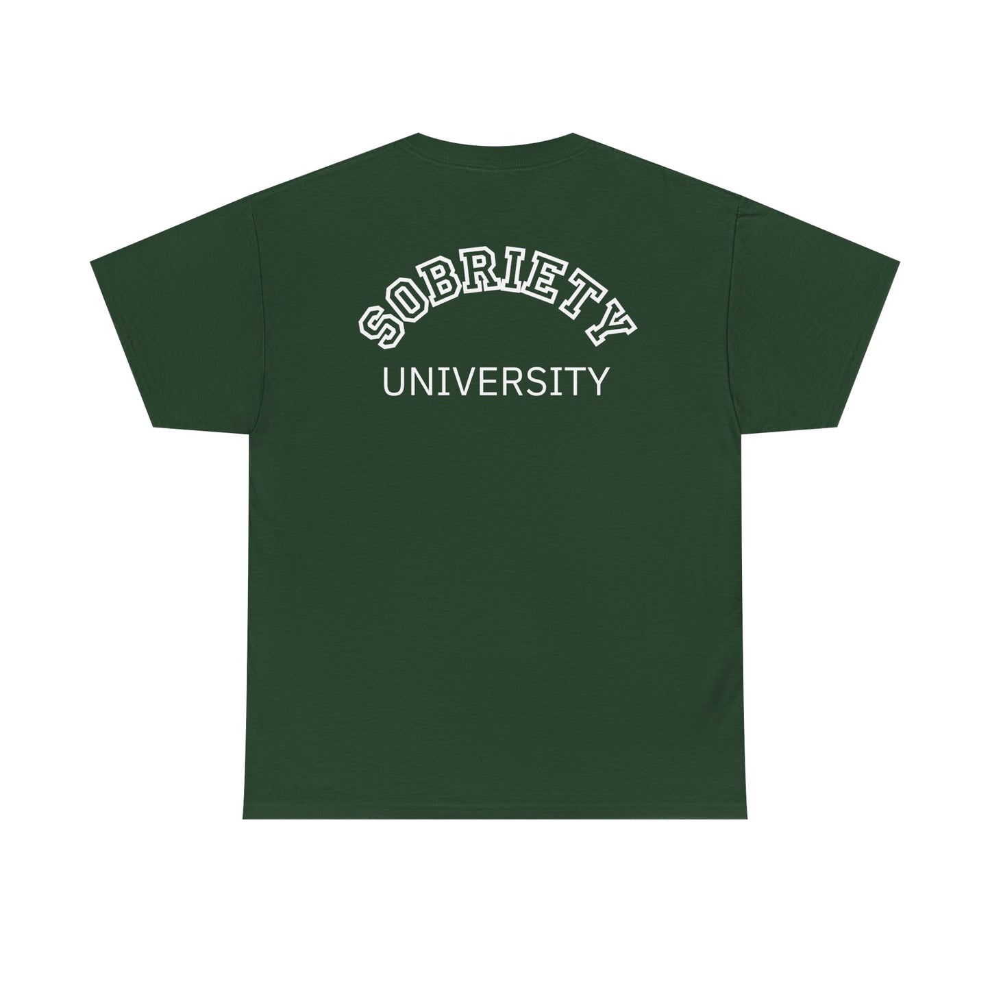 Sobriety University Tee, Sobriety T-shirt, Sobriety Shirt, Gift for Therapist, Funny Gift for Therapist, Mental Health shirt, Mental Health T-shirt, Therapist Gift