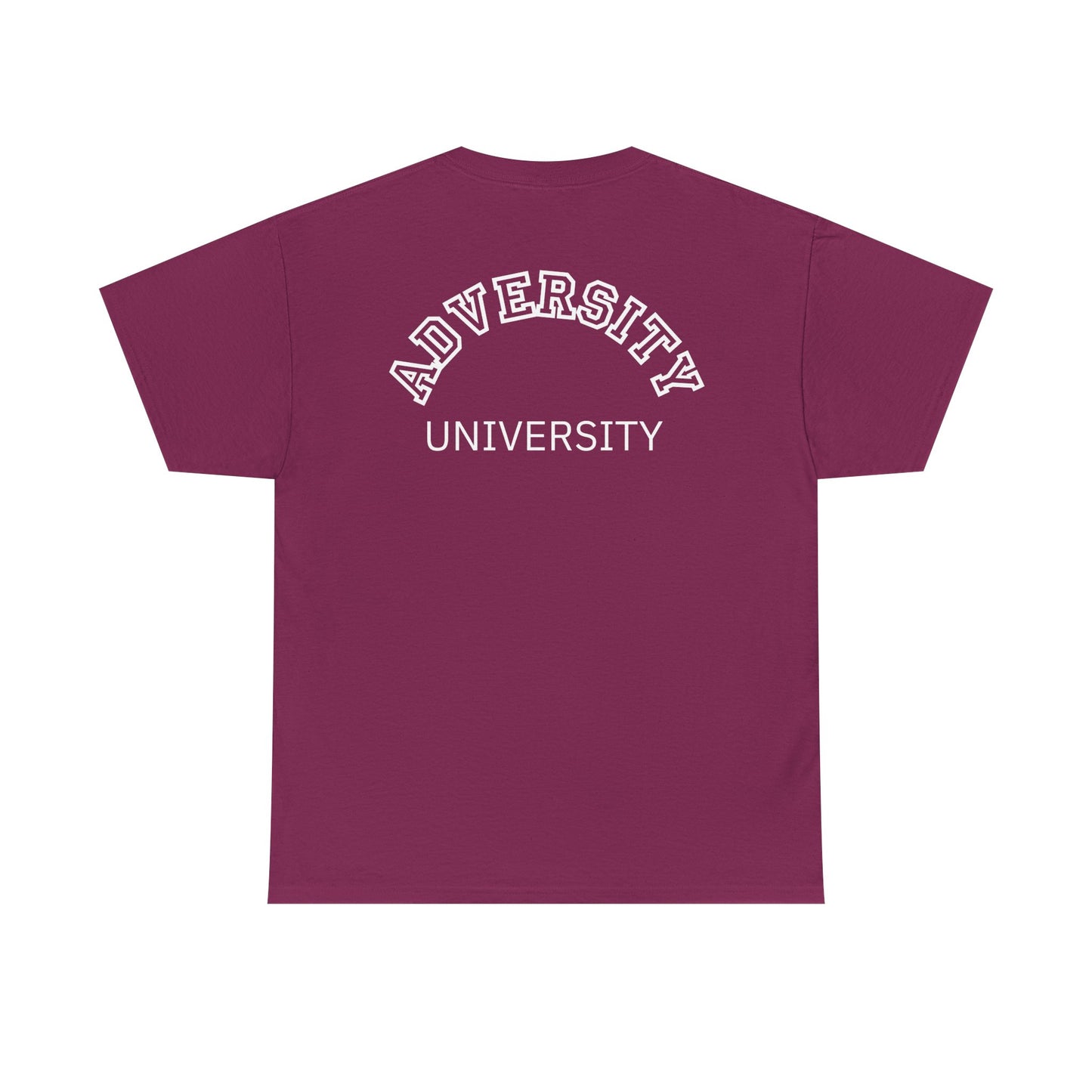 Adversity University Tee, Adversity T-shirt, Adversity Shirt, Gift for Therapist, Funny Gift for Therapist, Mental Health shirt, Mental Health T-shirt, Therapist Gift