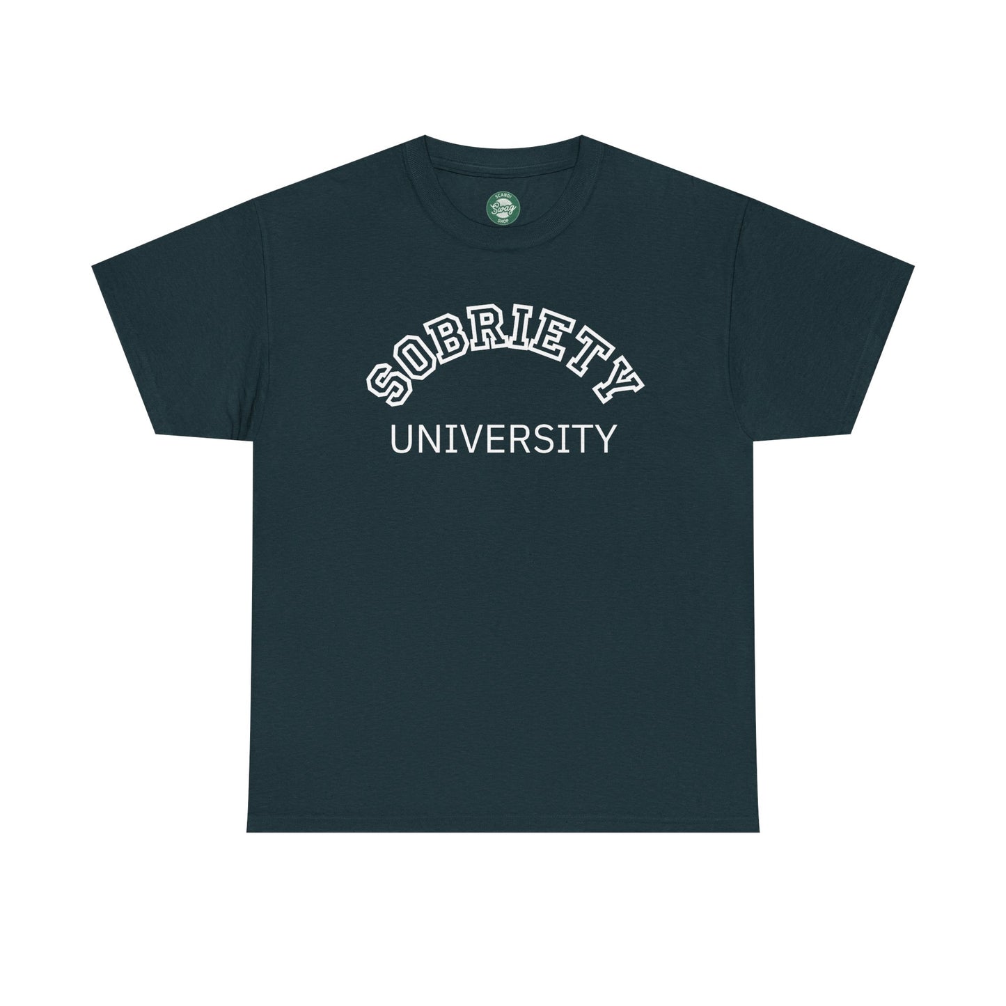 Sobriety University Tee, Sobriety T-shirt, Sobriety Shirt, Gift for Therapist, Funny Gift for Therapist, Mental Health shirt, Mental Health T-shirt, Therapist Gift