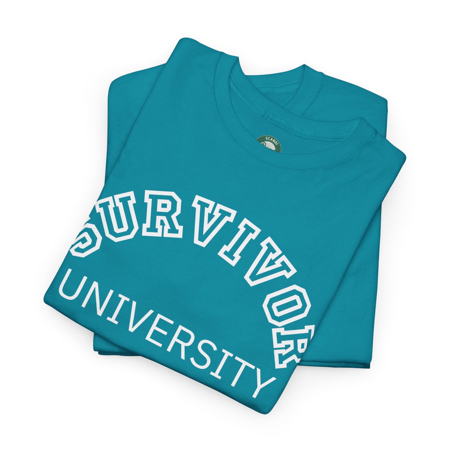 Survivor University Tee, Survivor T-shirt, Survivor Shirt, Gift for Therapist, Funny Gift for Therapist, Mental Health shirt, Mental Health T-shirt, Therapist Gift