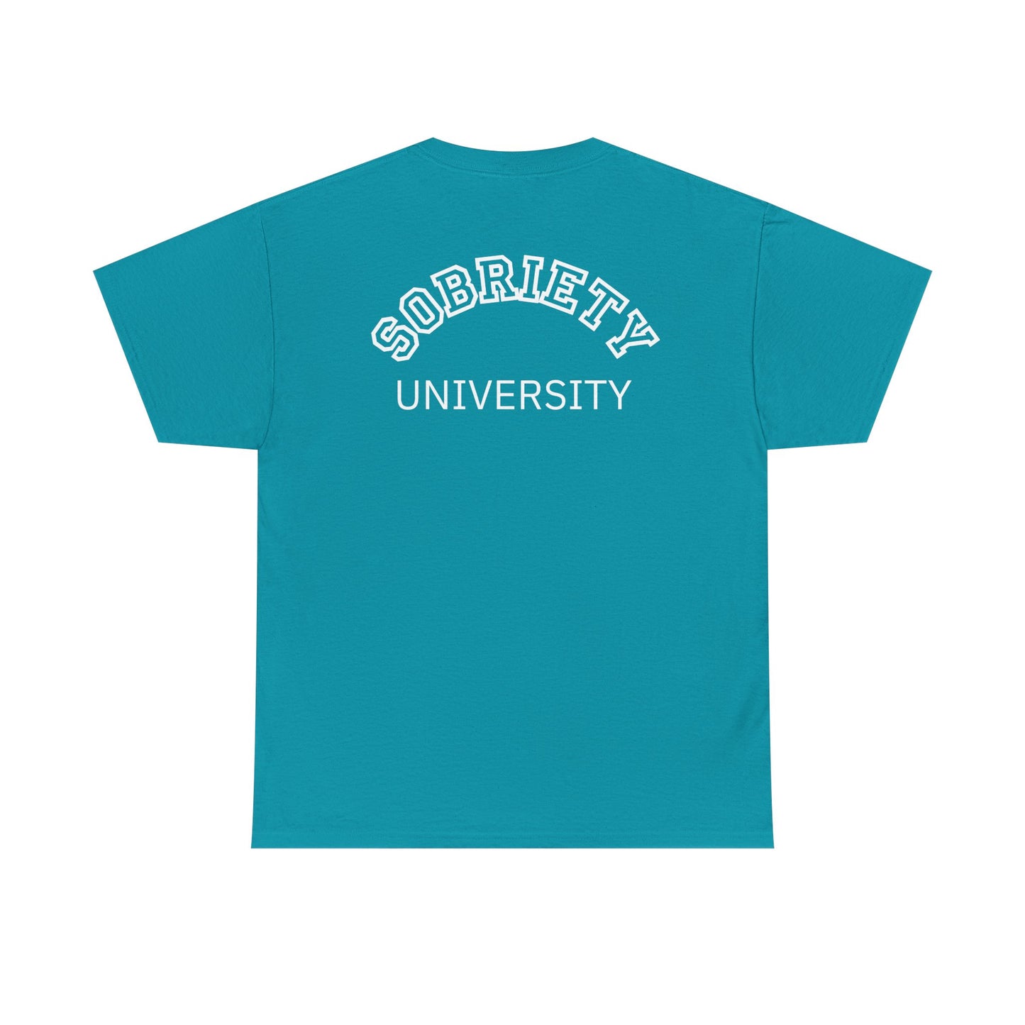 Sobriety University Tee, Sobriety T-shirt, Sobriety Shirt, Gift for Therapist, Funny Gift for Therapist, Mental Health shirt, Mental Health T-shirt, Therapist Gift