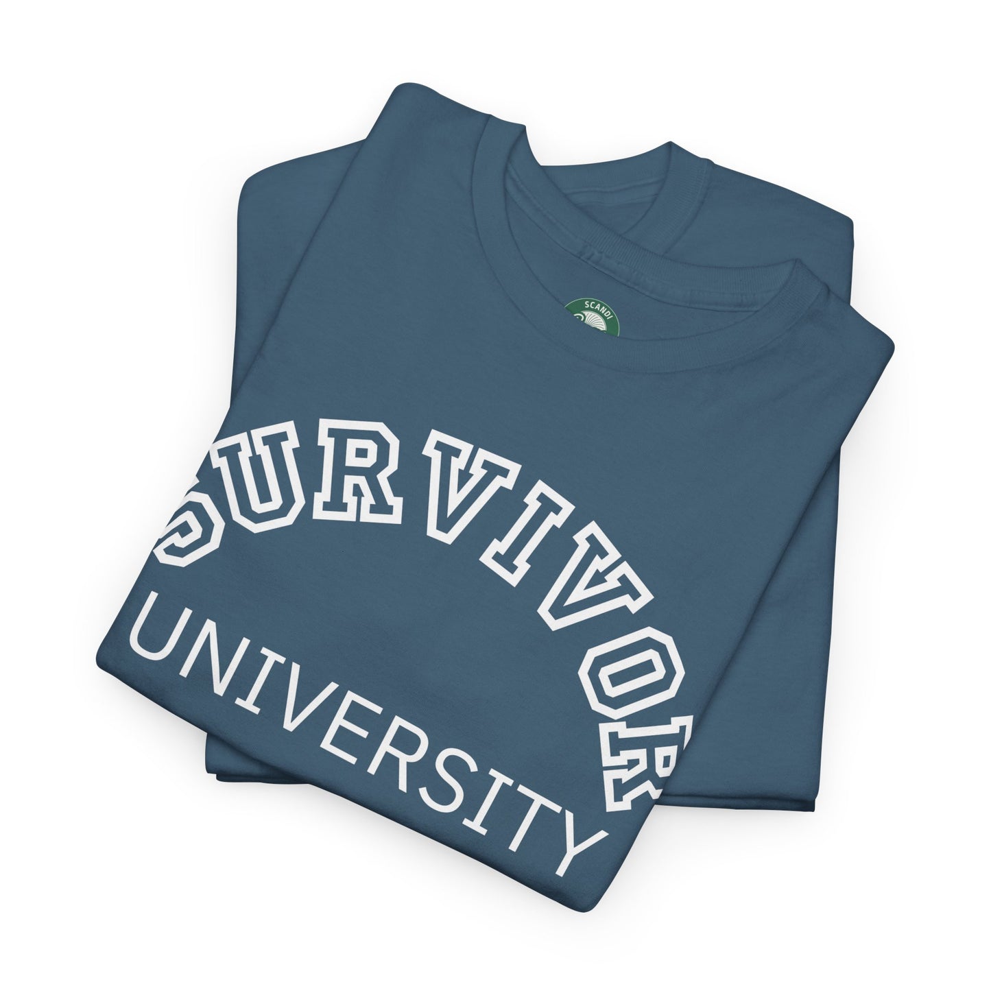 Survivor University Tee, Survivor T-shirt, Survivor Shirt, Gift for Therapist, Funny Gift for Therapist, Mental Health shirt, Mental Health T-shirt, Therapist Gift