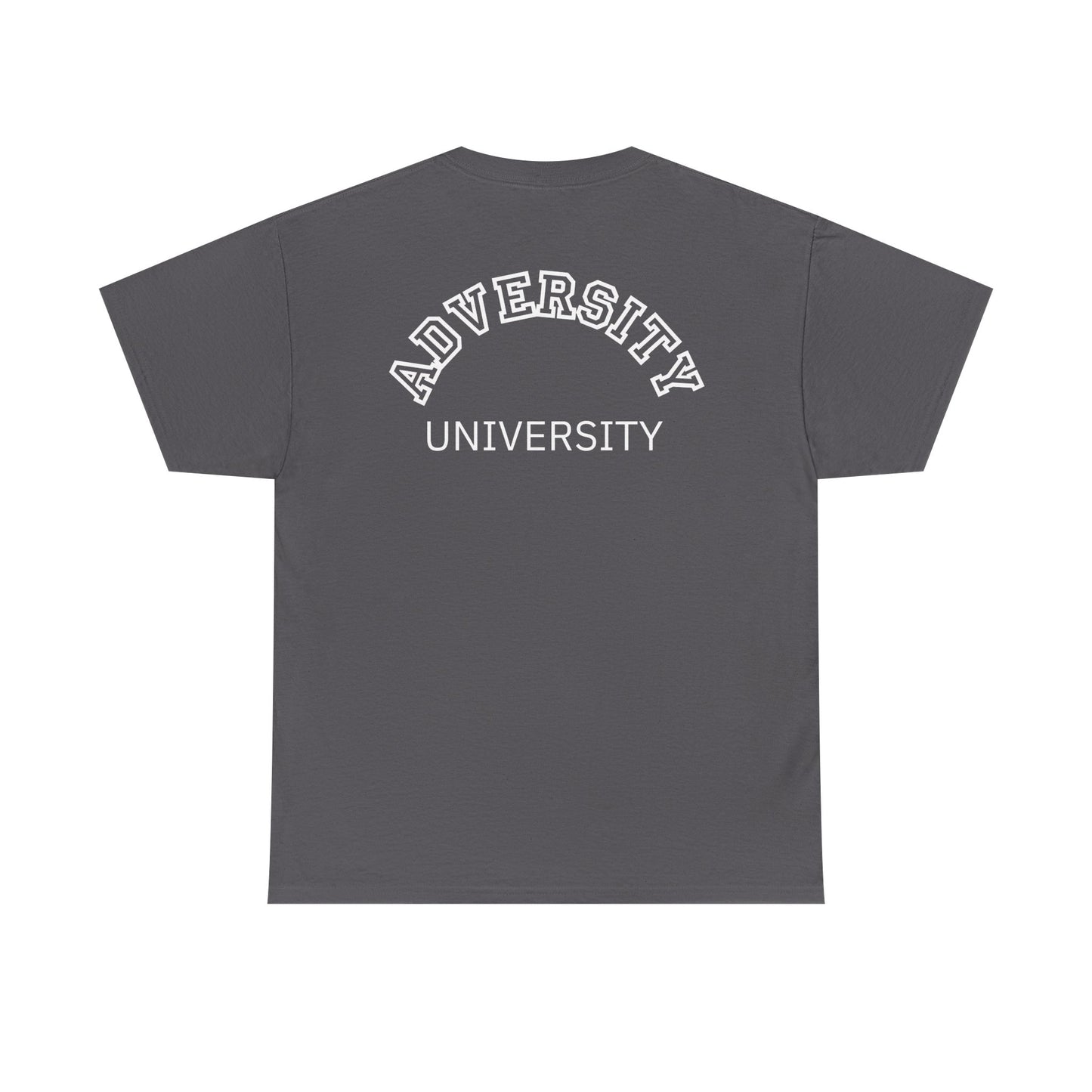 Adversity University Tee, Adversity T-shirt, Adversity Shirt, Gift for Therapist, Funny Gift for Therapist, Mental Health shirt, Mental Health T-shirt, Therapist Gift
