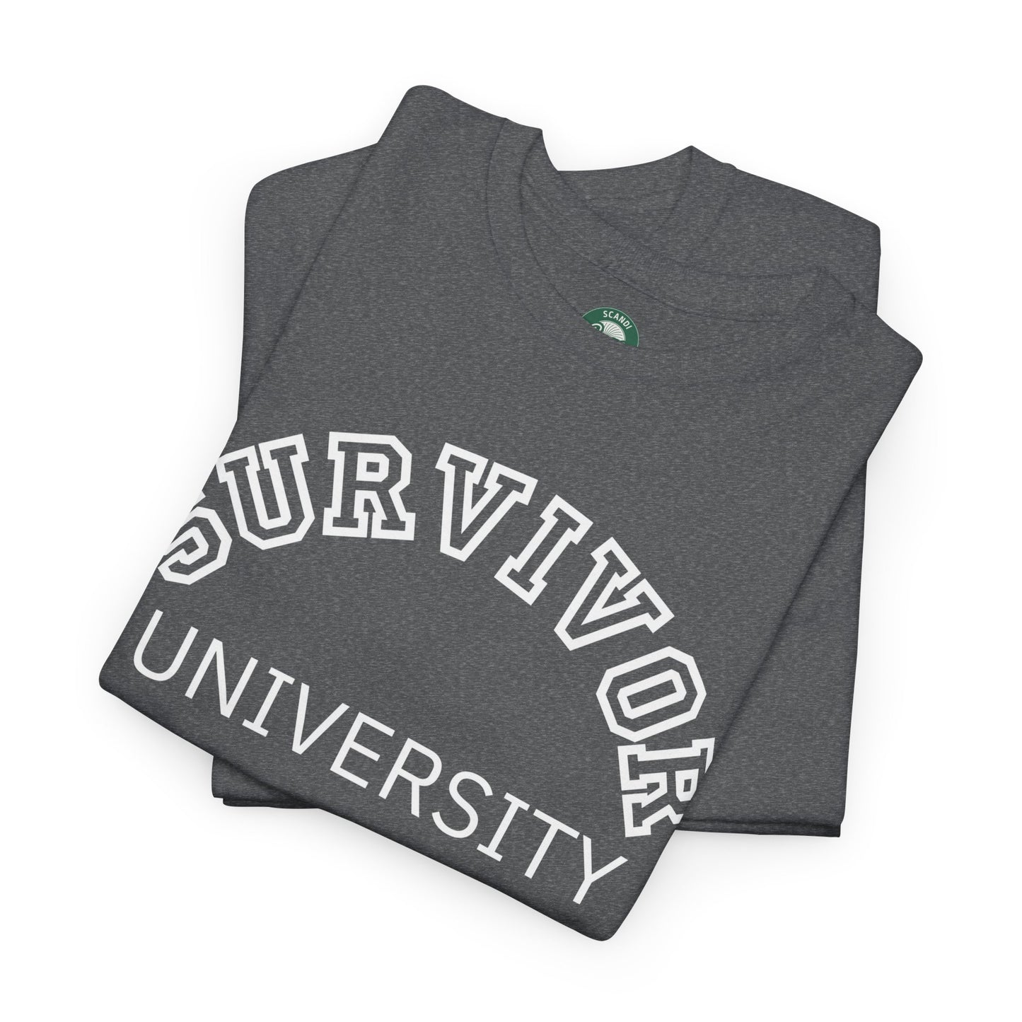 Survivor University Tee, Survivor T-shirt, Survivor Shirt, Gift for Therapist, Funny Gift for Therapist, Mental Health shirt, Mental Health T-shirt, Therapist Gift