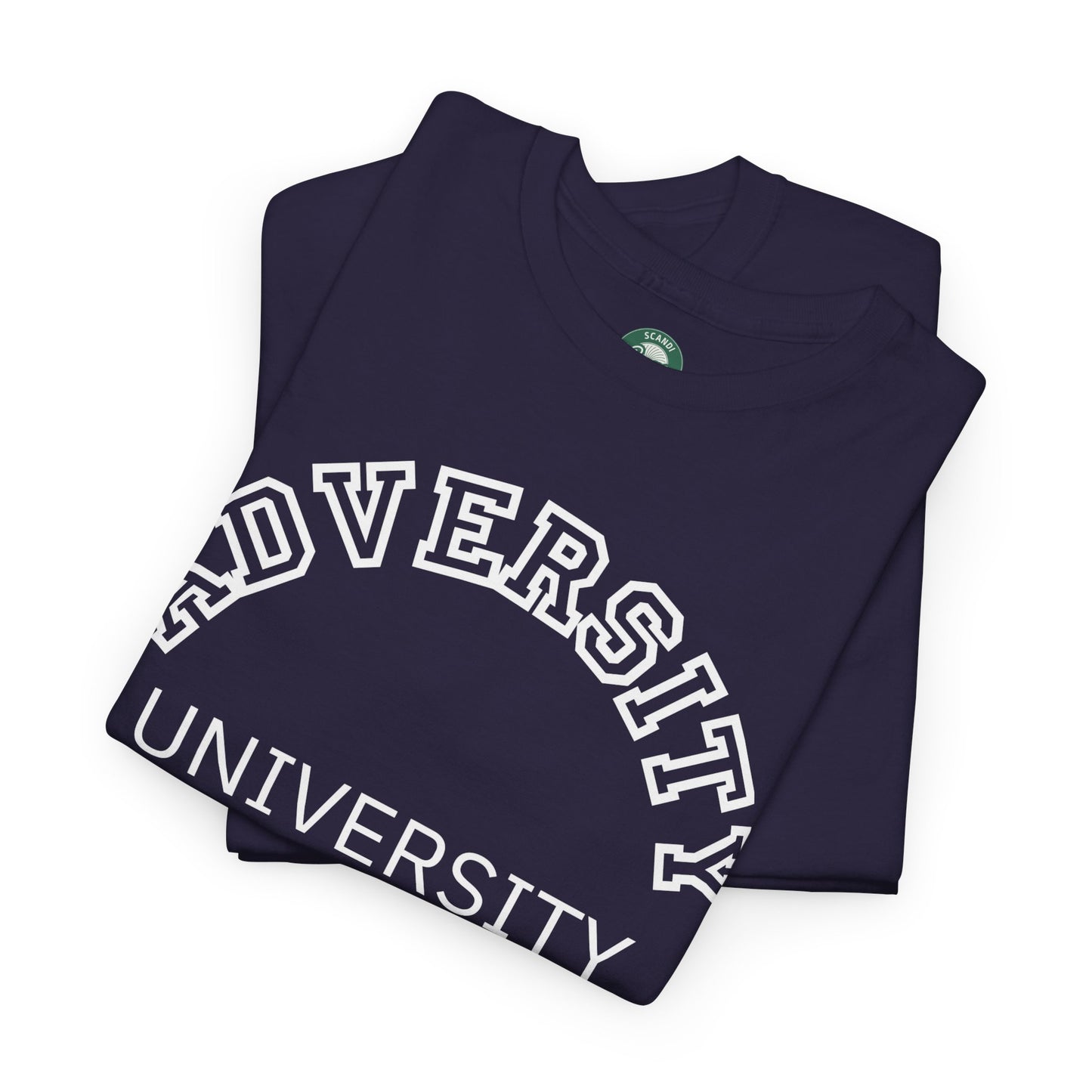 Adversity University Tee, Adversity T-shirt, Adversity Shirt, Gift for Therapist, Funny Gift for Therapist, Mental Health shirt, Mental Health T-shirt, Therapist Gift
