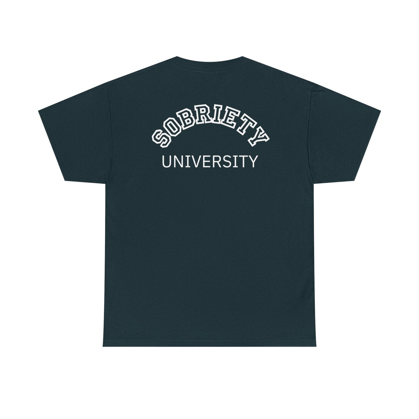 Sobriety University Tee, Sobriety T-shirt, Sobriety Shirt, Gift for Therapist, Funny Gift for Therapist, Mental Health shirt, Mental Health T-shirt, Therapist Gift