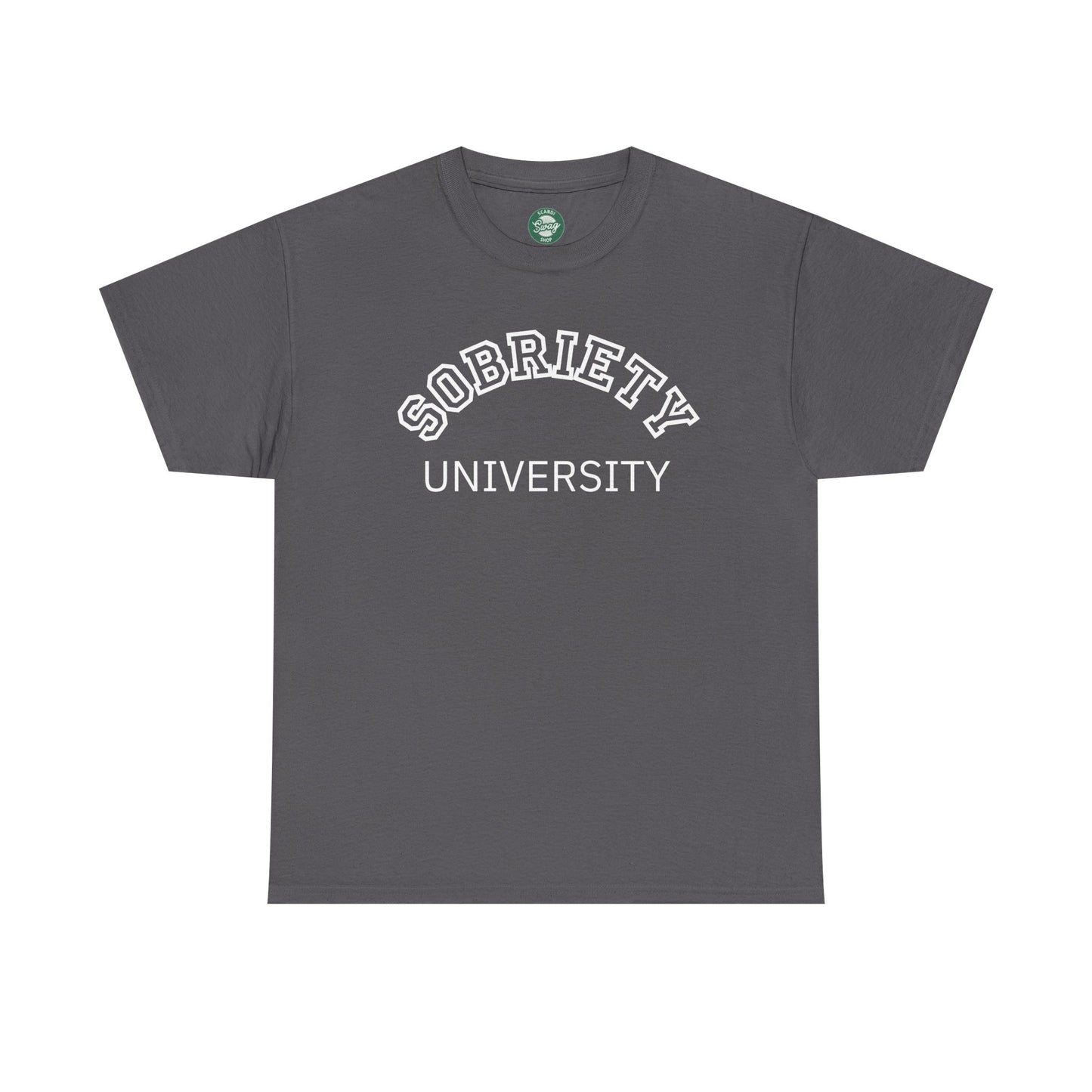 Sobriety University Tee, Sobriety T-shirt, Sobriety Shirt, Gift for Therapist, Funny Gift for Therapist, Mental Health shirt, Mental Health T-shirt, Therapist Gift