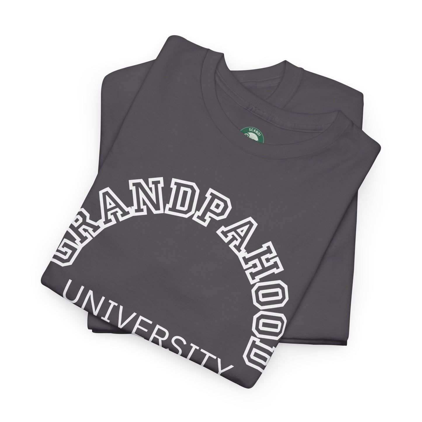 Grandpahood University T-Shirt Gift Announcement Pregnancy Grandpa Tee