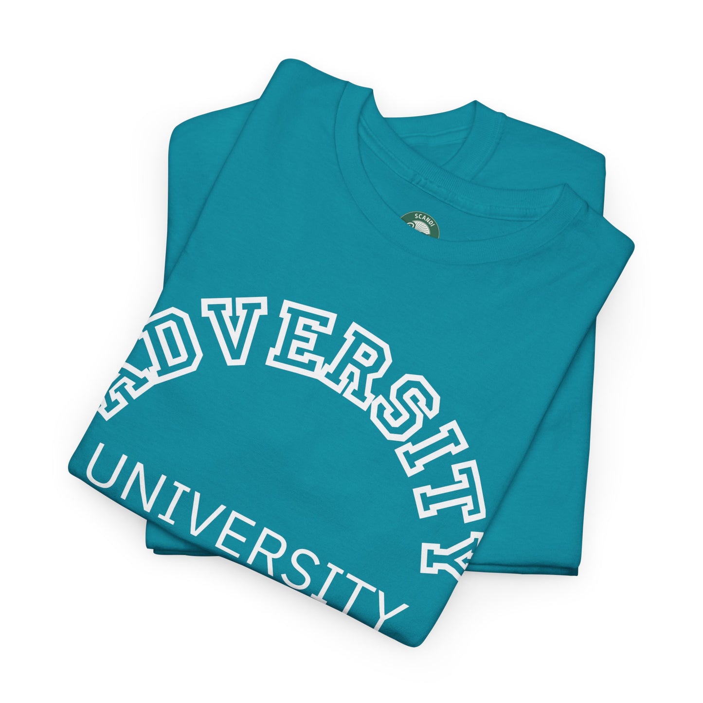 Adversity University Tee, Adversity T-shirt, Adversity Shirt, Gift for Therapist, Funny Gift for Therapist, Mental Health shirt, Mental Health T-shirt, Therapist Gift