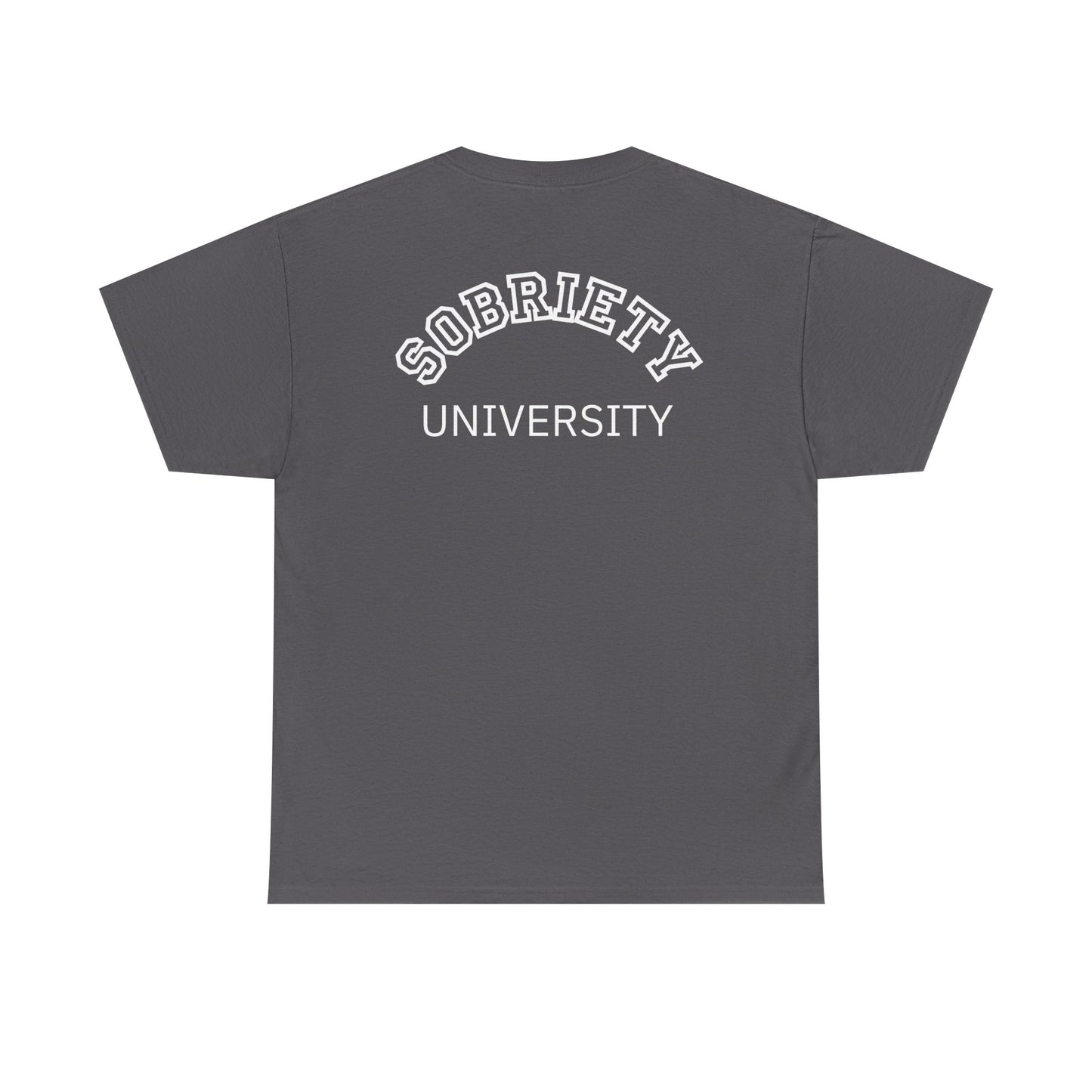 Sobriety University Tee, Sobriety T-shirt, Sobriety Shirt, Gift for Therapist, Funny Gift for Therapist, Mental Health shirt, Mental Health T-shirt, Therapist Gift