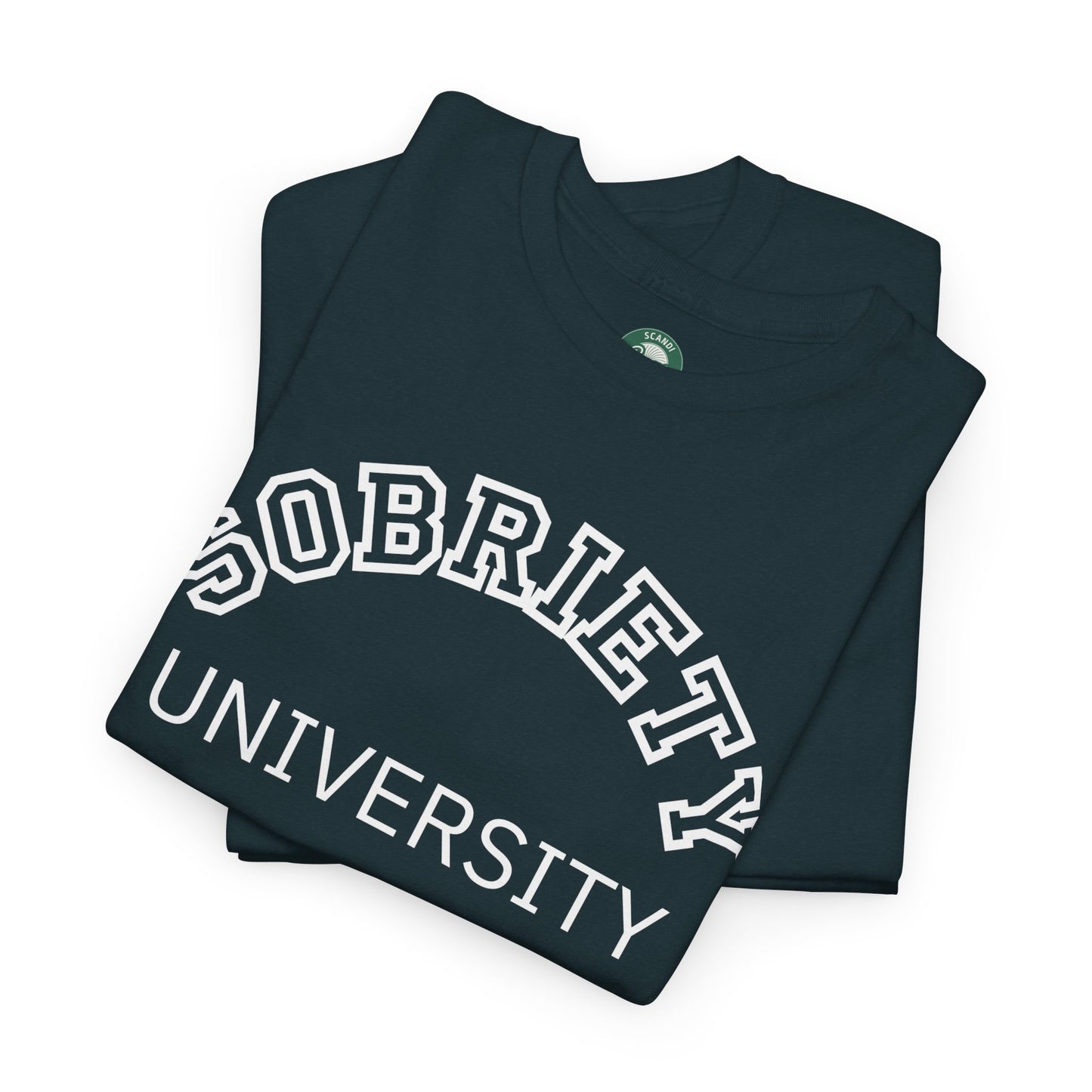 Sobriety University Tee, Sobriety T-shirt, Sobriety Shirt, Gift for Therapist, Funny Gift for Therapist, Mental Health shirt, Mental Health T-shirt, Therapist Gift