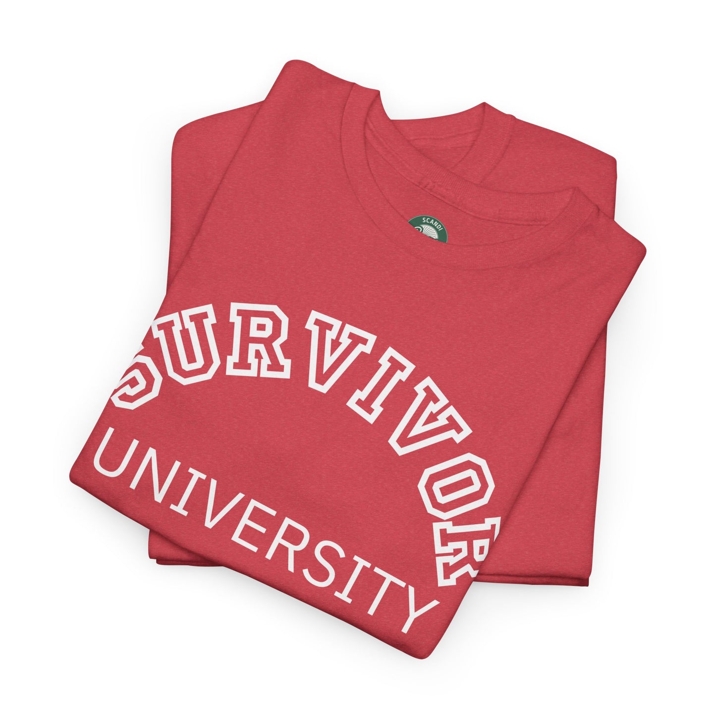 Survivor University Tee, Survivor T-shirt, Survivor Shirt, Gift for Therapist, Funny Gift for Therapist, Mental Health shirt, Mental Health T-shirt, Therapist Gift