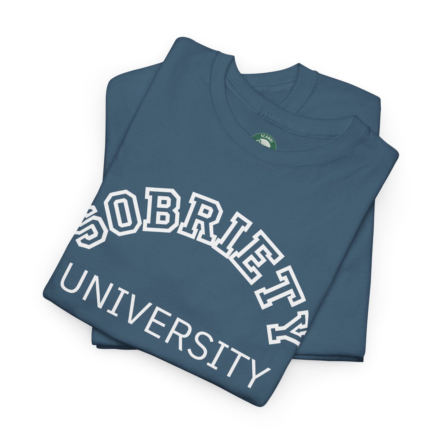 Sobriety University Tee, Sobriety T-shirt, Sobriety Shirt, Gift for Therapist, Funny Gift for Therapist, Mental Health shirt, Mental Health T-shirt, Therapist Gift
