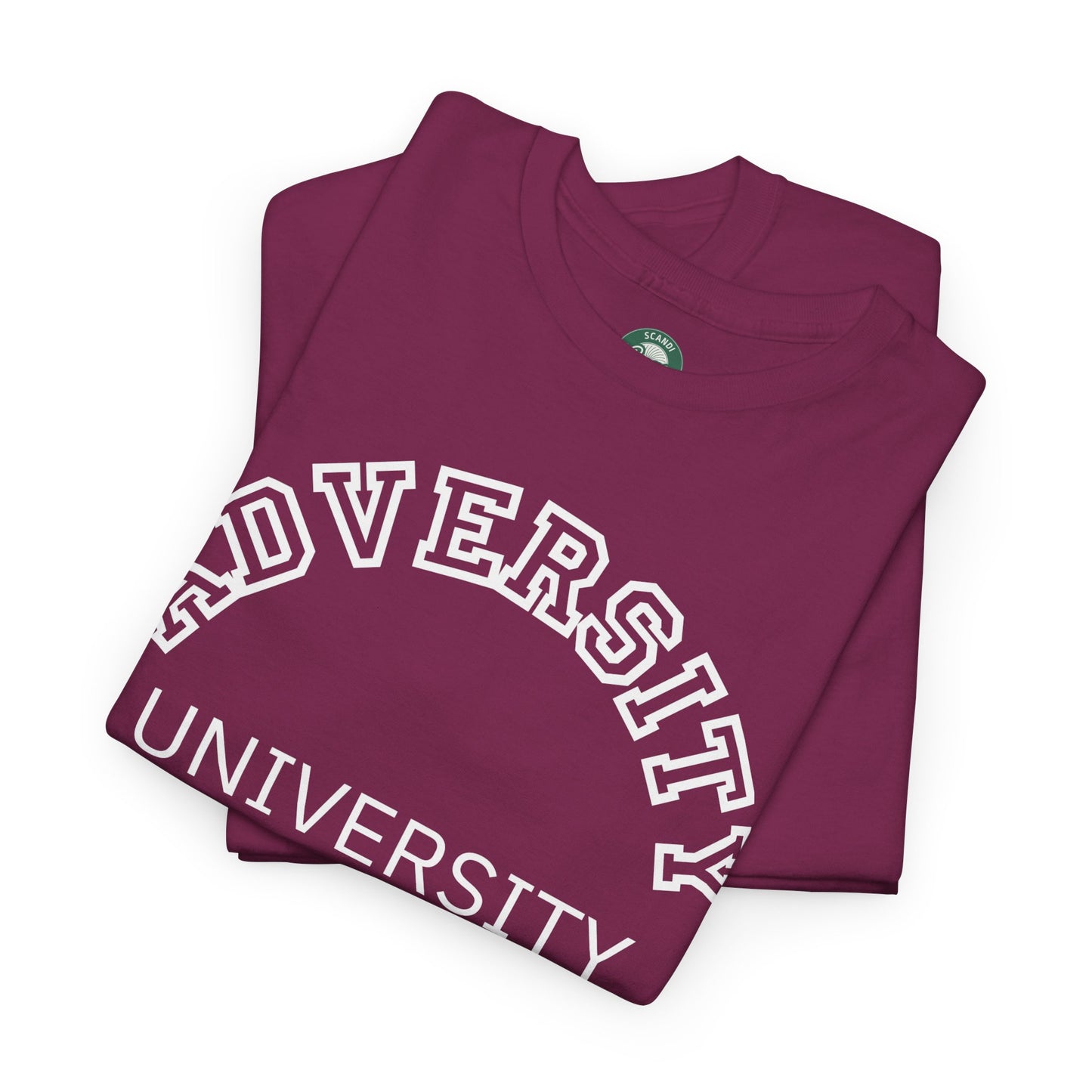 Adversity University Tee, Adversity T-shirt, Adversity Shirt, Gift for Therapist, Funny Gift for Therapist, Mental Health shirt, Mental Health T-shirt, Therapist Gift