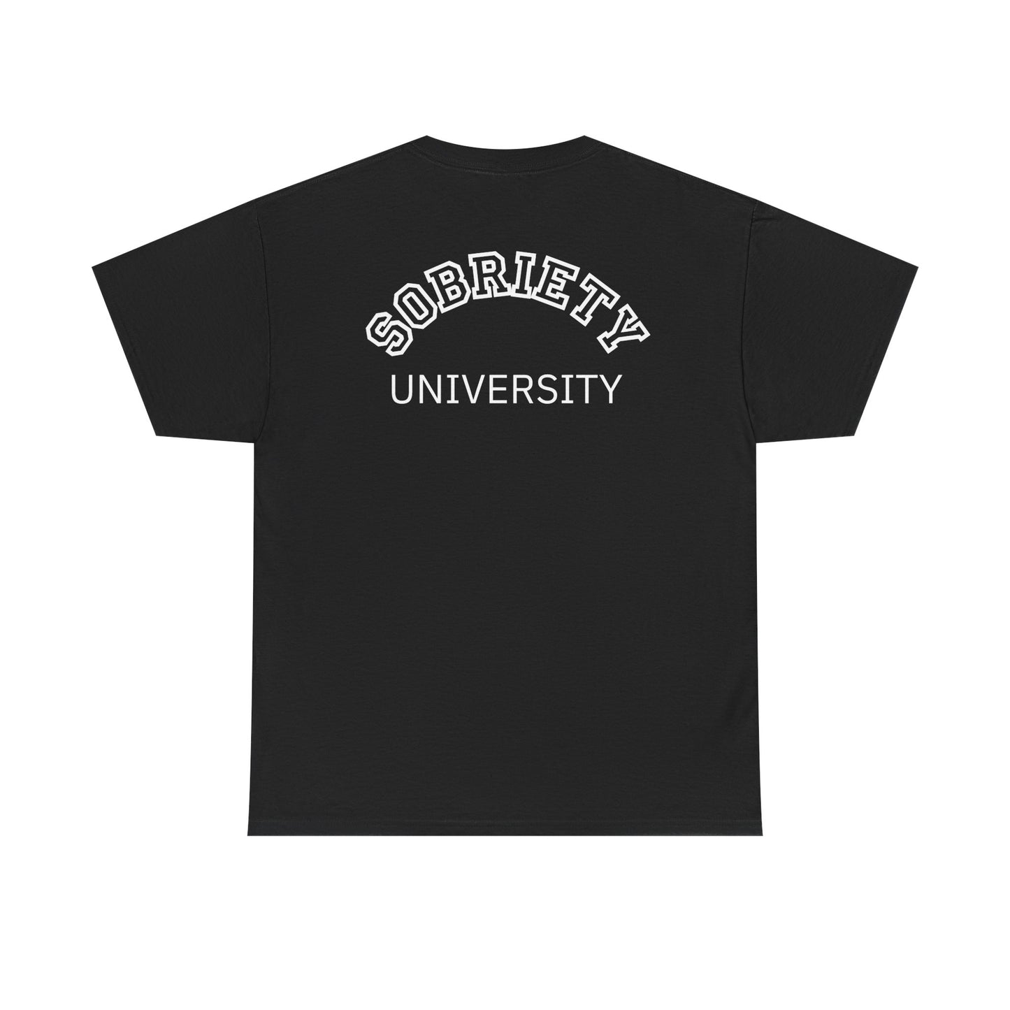 Sobriety University Tee, Sobriety T-shirt, Sobriety Shirt, Gift for Therapist, Funny Gift for Therapist, Mental Health shirt, Mental Health T-shirt, Therapist Gift