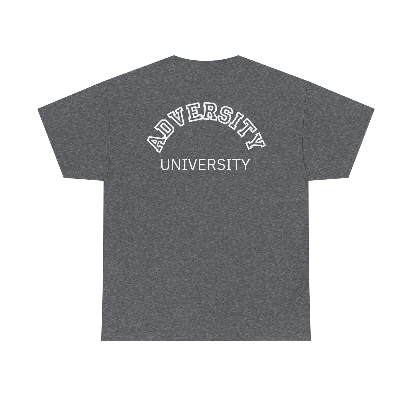 Adversity University Tee, Adversity T-shirt, Adversity Shirt, Gift for Therapist, Funny Gift for Therapist, Mental Health shirt, Mental Health T-shirt, Therapist Gift