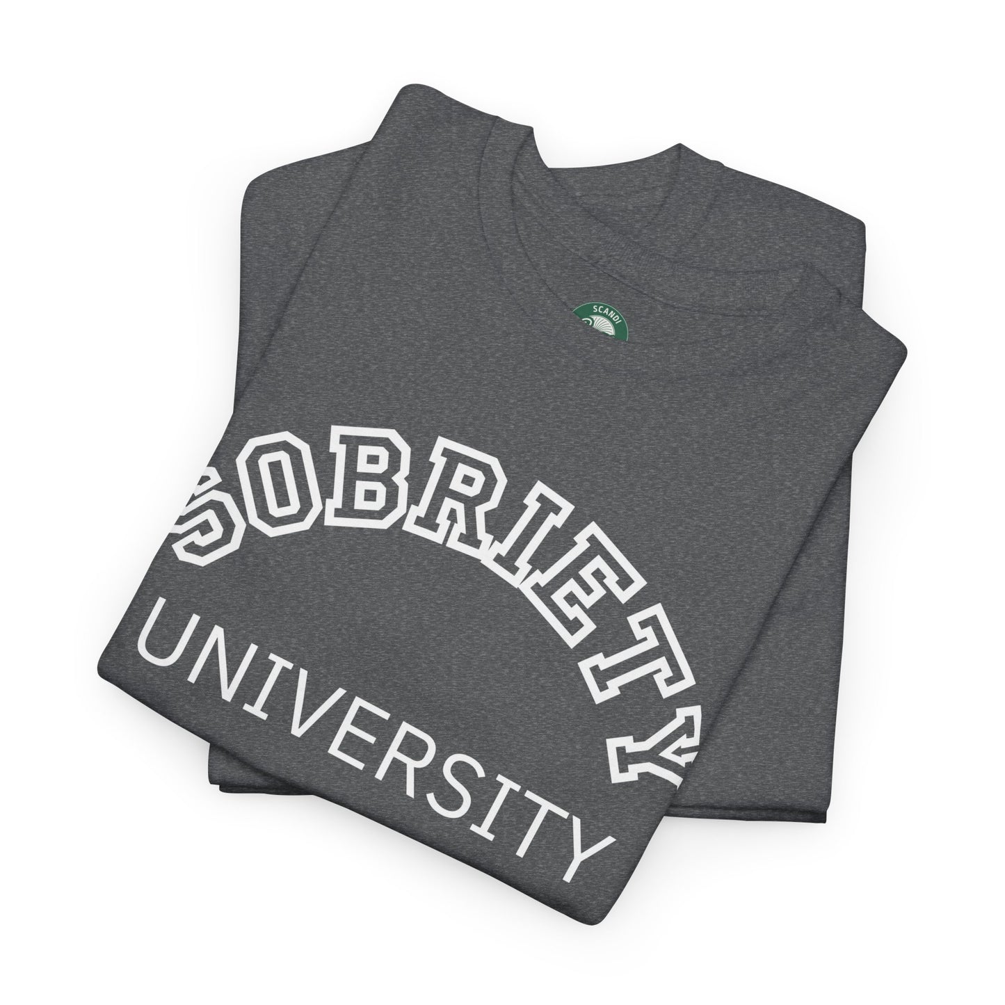 Sobriety University Tee, Sobriety T-shirt, Sobriety Shirt, Gift for Therapist, Funny Gift for Therapist, Mental Health shirt, Mental Health T-shirt, Therapist Gift