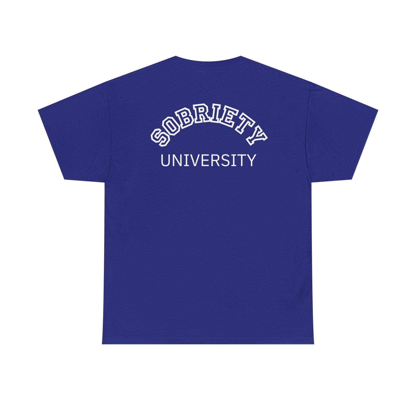 Sobriety University Tee, Sobriety T-shirt, Sobriety Shirt, Gift for Therapist, Funny Gift for Therapist, Mental Health shirt, Mental Health T-shirt, Therapist Gift