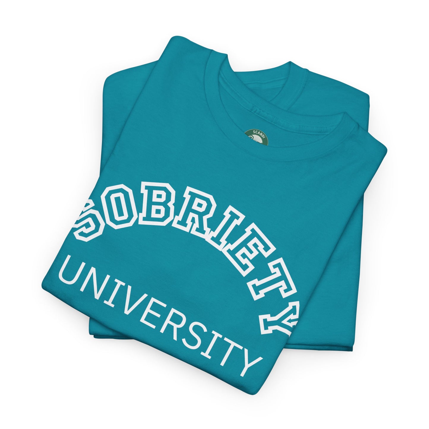 Sobriety University Tee, Sobriety T-shirt, Sobriety Shirt, Gift for Therapist, Funny Gift for Therapist, Mental Health shirt, Mental Health T-shirt, Therapist Gift