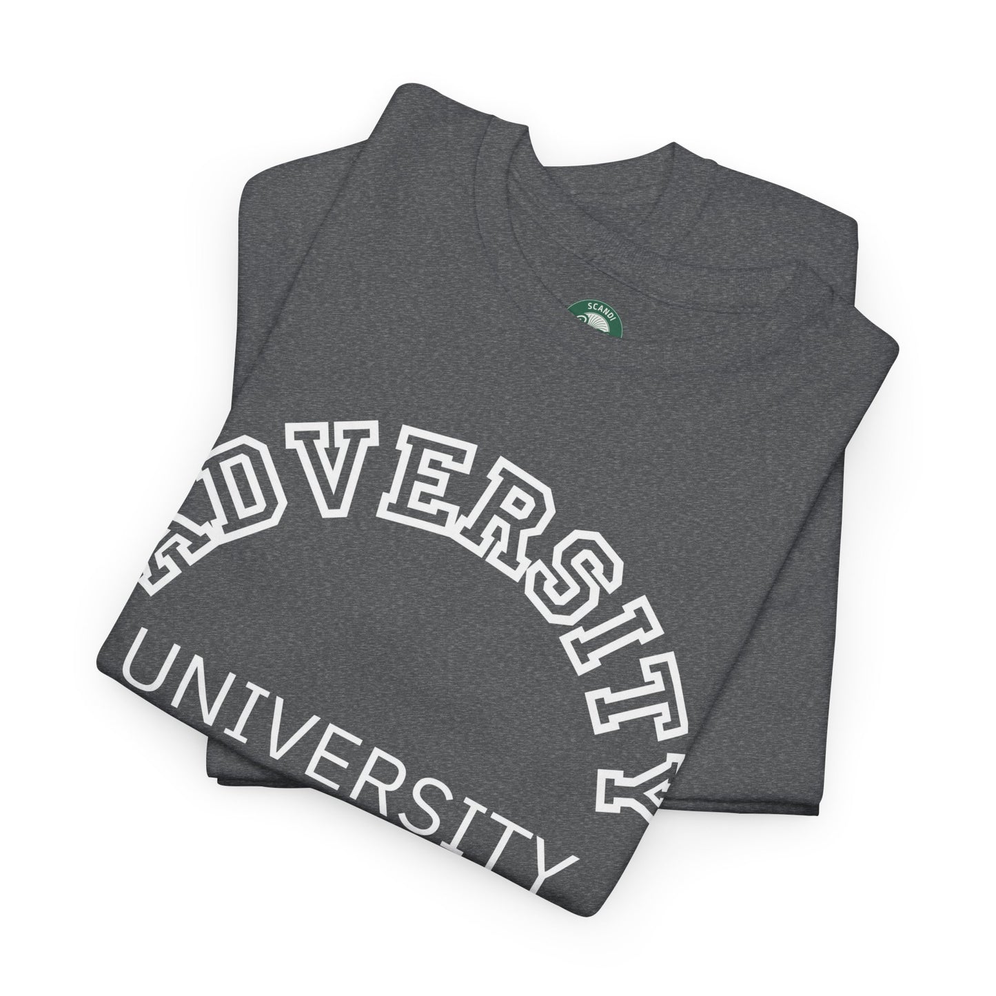 Adversity University Tee, Adversity T-shirt, Adversity Shirt, Gift for Therapist, Funny Gift for Therapist, Mental Health shirt, Mental Health T-shirt, Therapist Gift