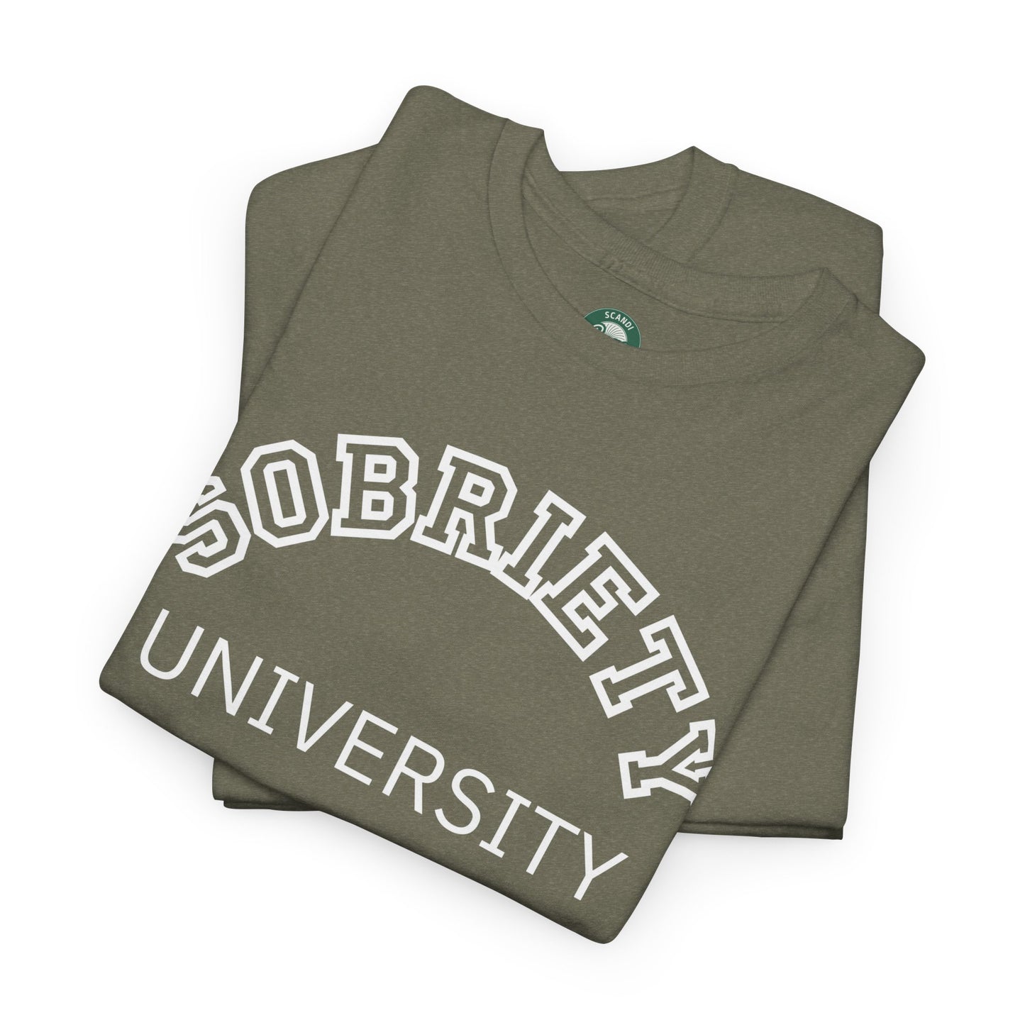 Sobriety University Tee, Sobriety T-shirt, Sobriety Shirt, Gift for Therapist, Funny Gift for Therapist, Mental Health shirt, Mental Health T-shirt, Therapist Gift