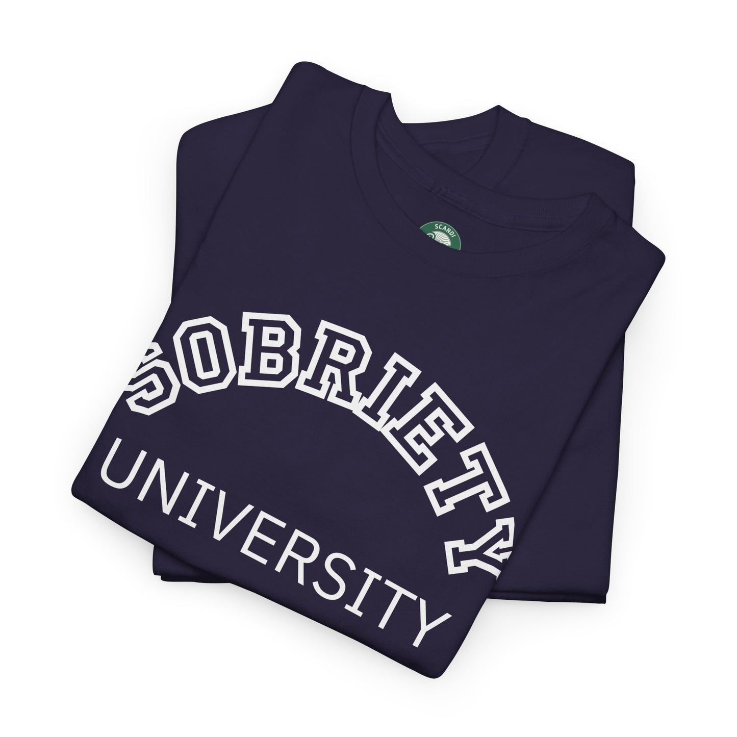 Sobriety University Tee, Sobriety T-shirt, Sobriety Shirt, Gift for Therapist, Funny Gift for Therapist, Mental Health shirt, Mental Health T-shirt, Therapist Gift