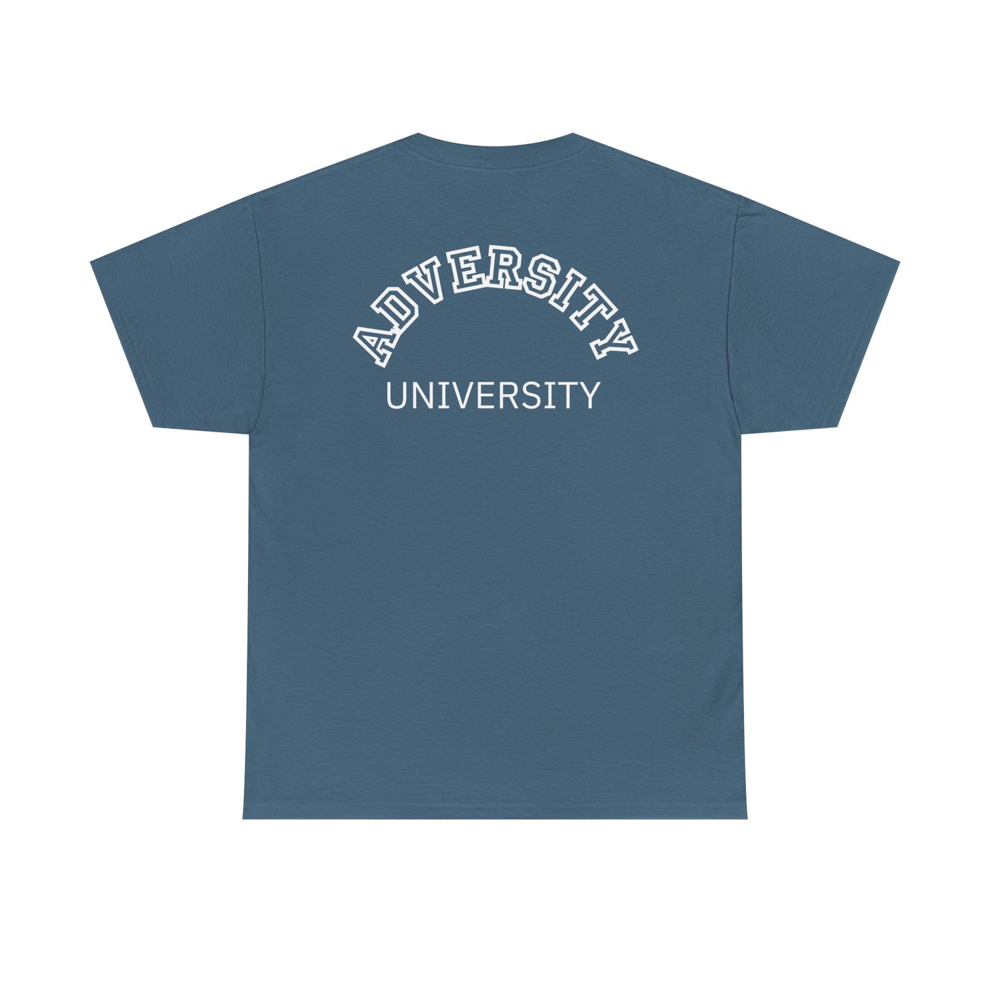 Adversity University Tee, Adversity T-shirt, Adversity Shirt, Gift for Therapist, Funny Gift for Therapist, Mental Health shirt, Mental Health T-shirt, Therapist Gift