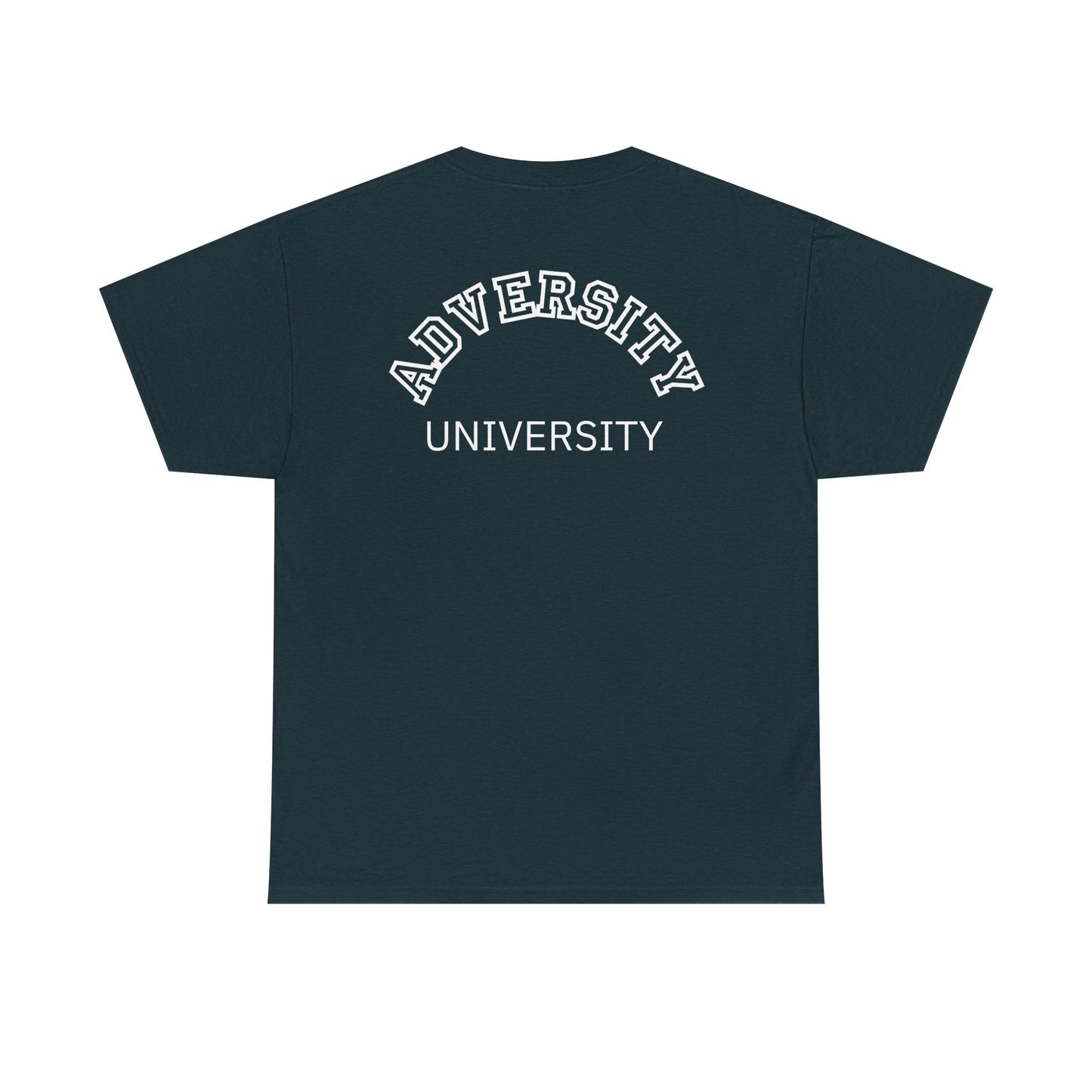 Adversity University Tee, Adversity T-shirt, Adversity Shirt, Gift for Therapist, Funny Gift for Therapist, Mental Health shirt, Mental Health T-shirt, Therapist Gift