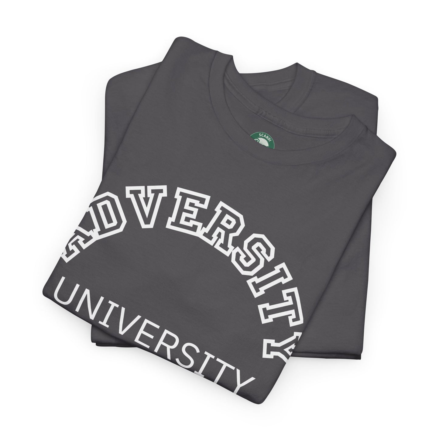 Adversity University Tee, Adversity T-shirt, Adversity Shirt, Gift for Therapist, Funny Gift for Therapist, Mental Health shirt, Mental Health T-shirt, Therapist Gift
