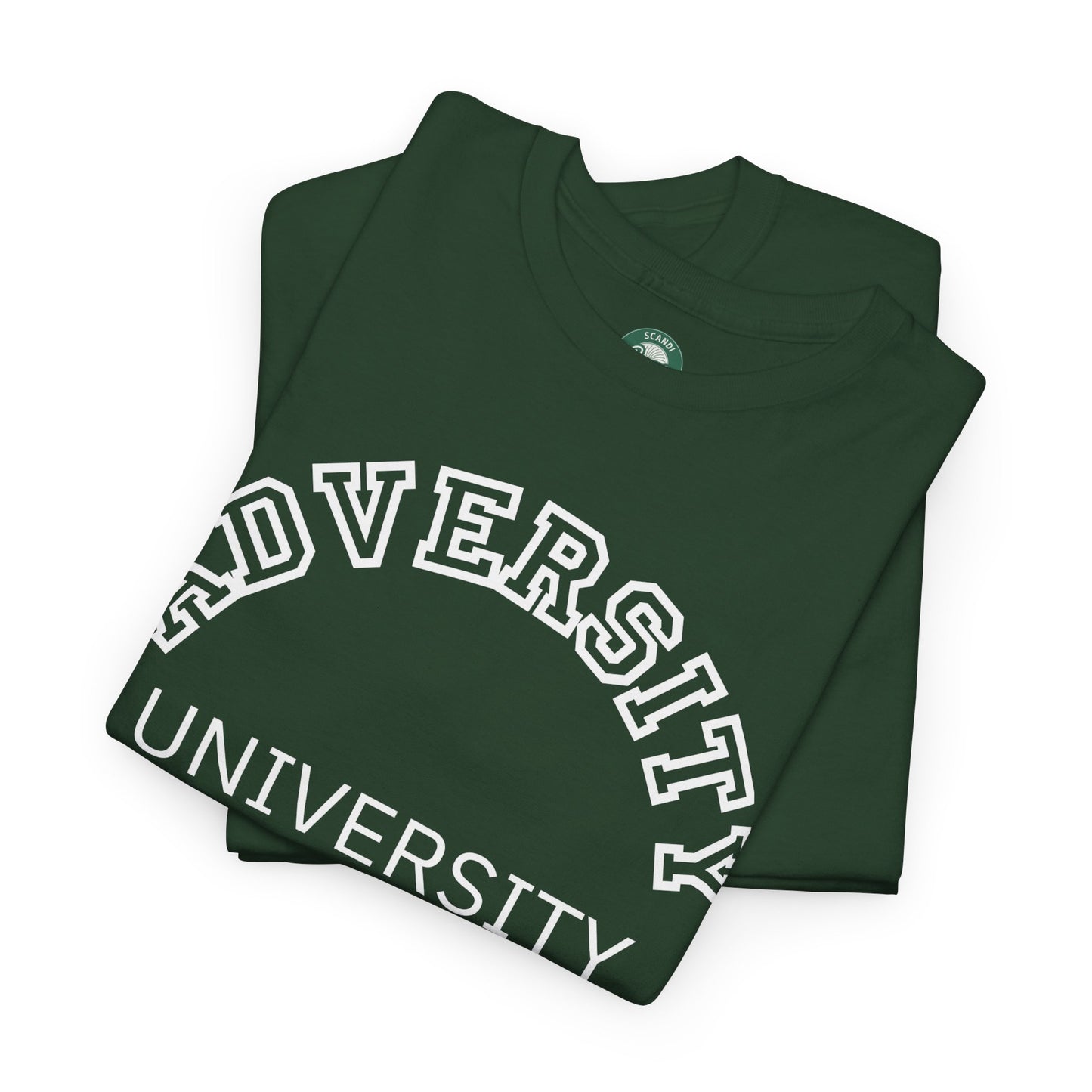 Adversity University Tee, Adversity T-shirt, Adversity Shirt, Gift for Therapist, Funny Gift for Therapist, Mental Health shirt, Mental Health T-shirt, Therapist Gift
