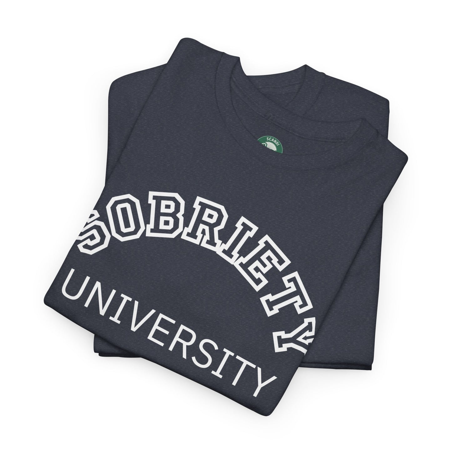 Sobriety University Tee, Sobriety T-shirt, Sobriety Shirt, Gift for Therapist, Funny Gift for Therapist, Mental Health shirt, Mental Health T-shirt, Therapist Gift